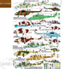 DP Casper 1/72 Military Helicopters In africa Decal set