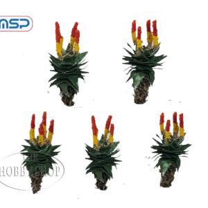 MSP Aloe Ferox (x5)