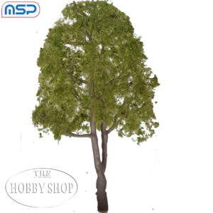 MSP Blue Gum Tree 100mm