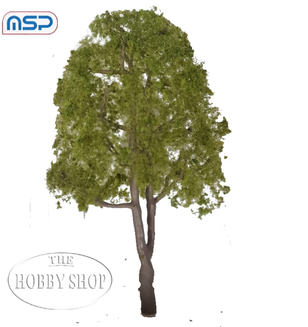 MSP Blue Gum Tree 100mm