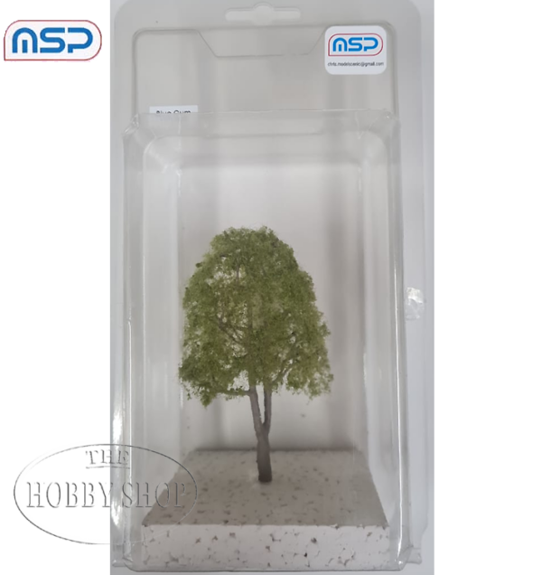 MSP Blue Gum Tree 100mm