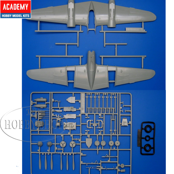 Academy 1/48 P-38 Lightning Combination Version