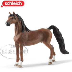 American Saddlebred Gelding