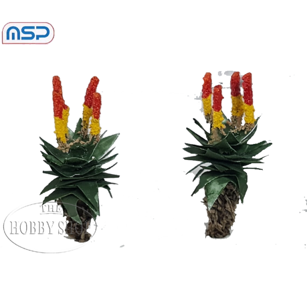 MSP HO Aloe Ferox (x2)
