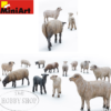 Sheep (x15)