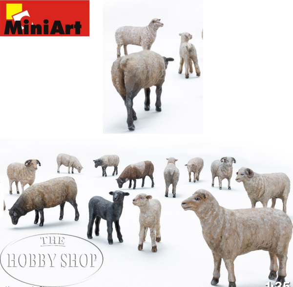 Sheep (x15)
